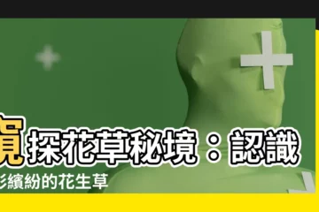 【花生草】窺探花草秘境：認識多彩繽紛的花生草