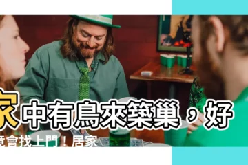 【家中有鳥來築巢】家中有鳥來築巢，好運竟會找上門！居家風水竟藏玄機