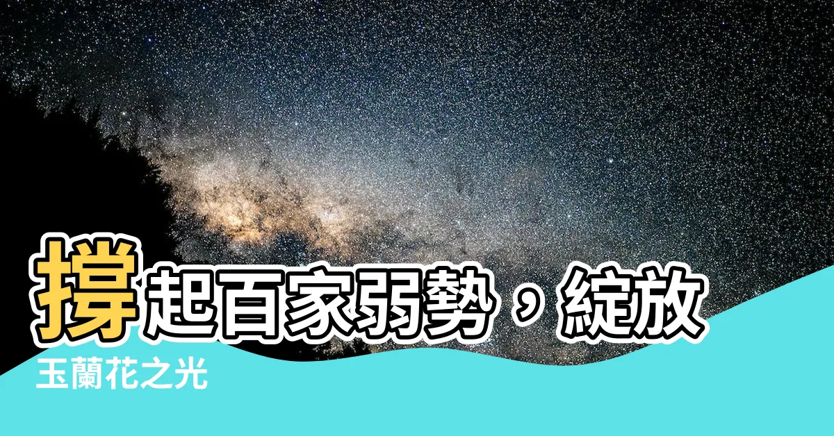 【玉蘭花】撐起百家弱勢，綻放玉蘭花之光