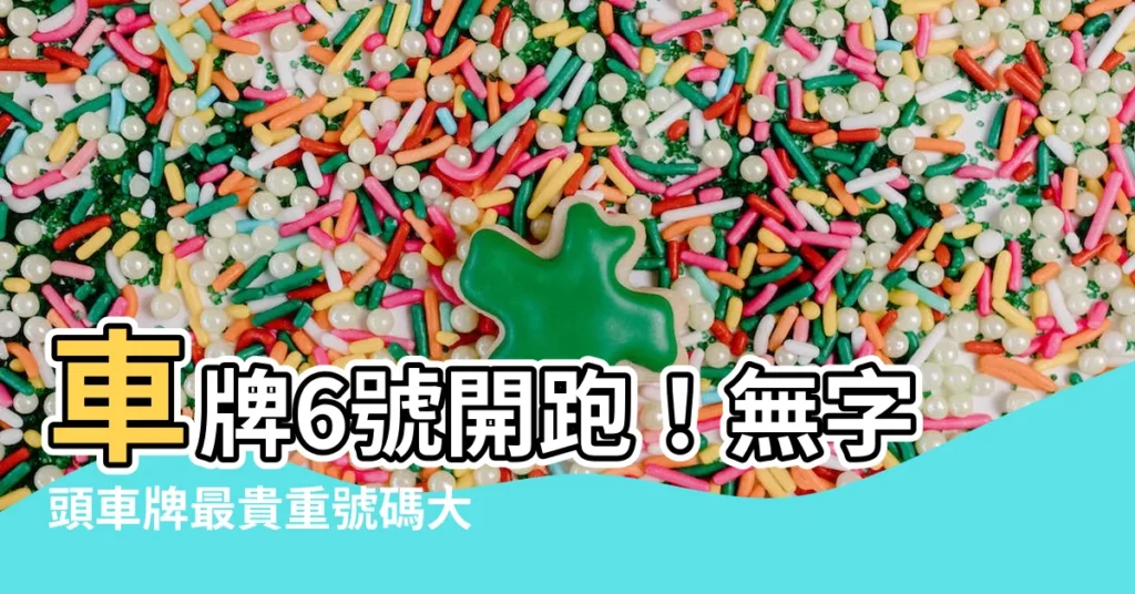 【車牌6號】車牌6號開跑！無字頭車牌最貴重號碼大公開，商用車型一覽