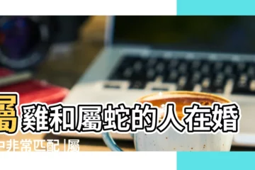 【屬雞和屬蛇哪個厲害】屬雞和屬蛇的人在婚姻中非常匹配 |屬蛇人的最佳姻緣和最差配對 |找對了才幸福 |
