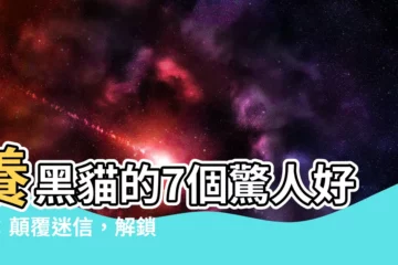 【養黑貓】養黑貓的7個驚人好處：顛覆迷信，解鎖黑色貓咪的神奇力量