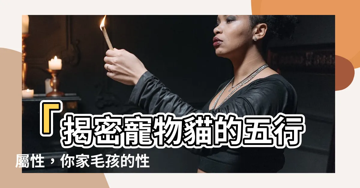【貓 五行屬性】「揭密寵物貓的五行屬性，你家毛孩的性格特質快來看！」