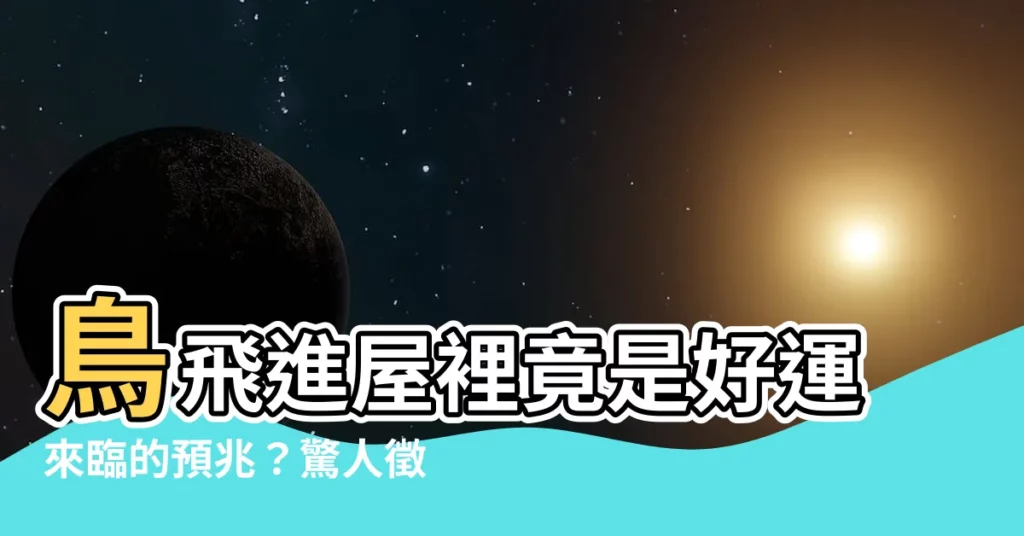 【鳥飛進家裡】鳥飛進屋裡竟是好運來臨的預兆?驚人徵兆大公開!