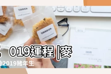 【屬龍2019月運勢】2019運程 |麥玲玲2019豬年生肖運程 |2019年十二生肖運勢系列 |