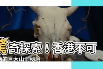 【山洞】驚奇探索！香港不可錯過的巨大山洞秘境：Coombe 山洞