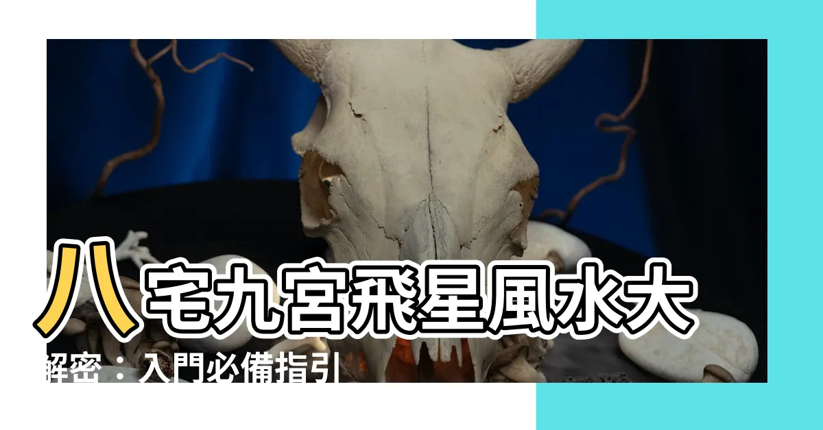 【八宅九宮飛星】八宅九宮飛星風水大解密：入門必備指引
