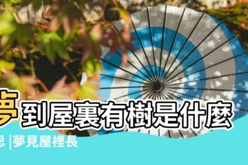 【夢見屋裏長的個數】夢到屋裏有樹是什麼意思 |夢見屋裡長樹 |夢見屋裏有樹 |