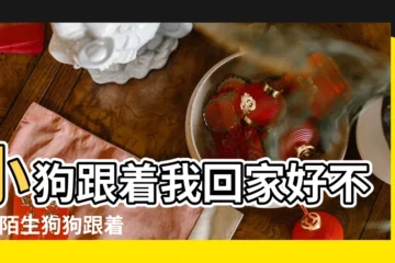 【陌生狗狗跟我好不好】小狗跟着我回家好不好 |陌生狗狗跟着是什麼意思 |狗進家門到底吉不吉利陌生狗進家門預示什麼狗跟着人回家 |