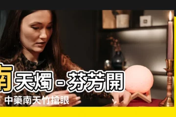 【南天燭】南天燭 - 芬芳開放，中藥南天竹搶眼登場！