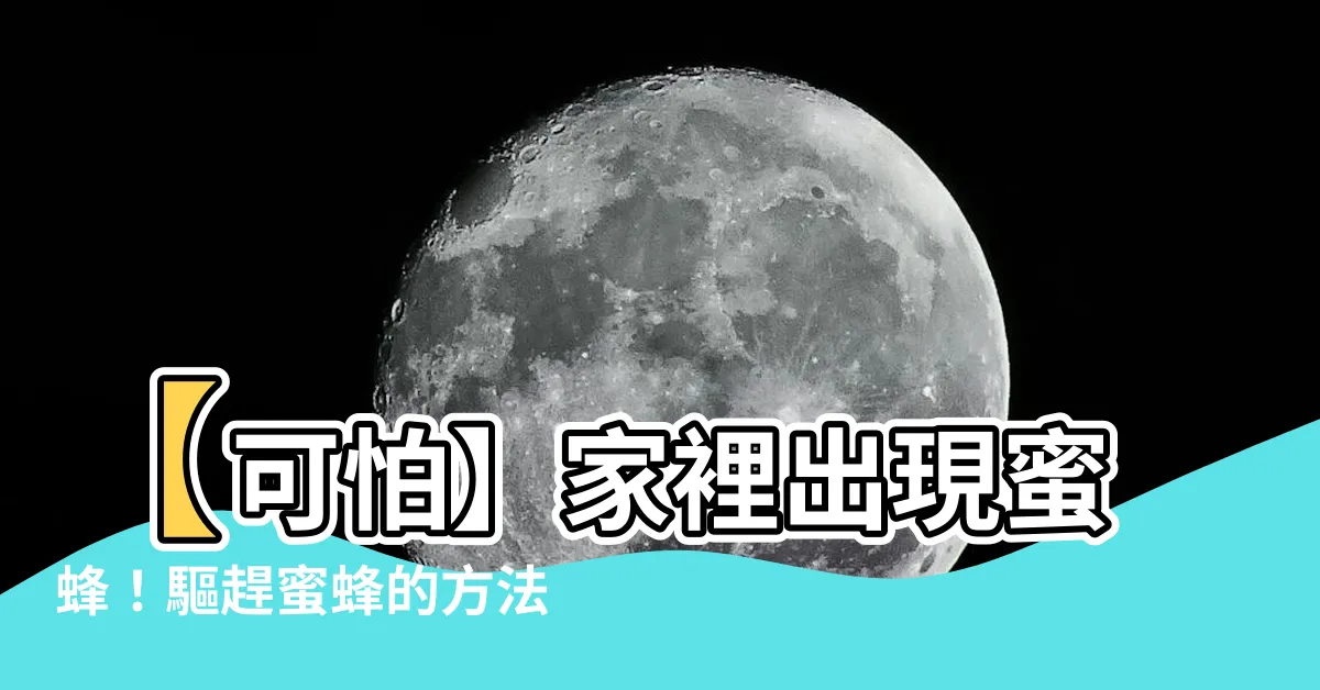 【家裡出現蜜蜂怎麼辦】【可怕】家裡出現蜜蜂！驅趕蜜蜂的方法大公開