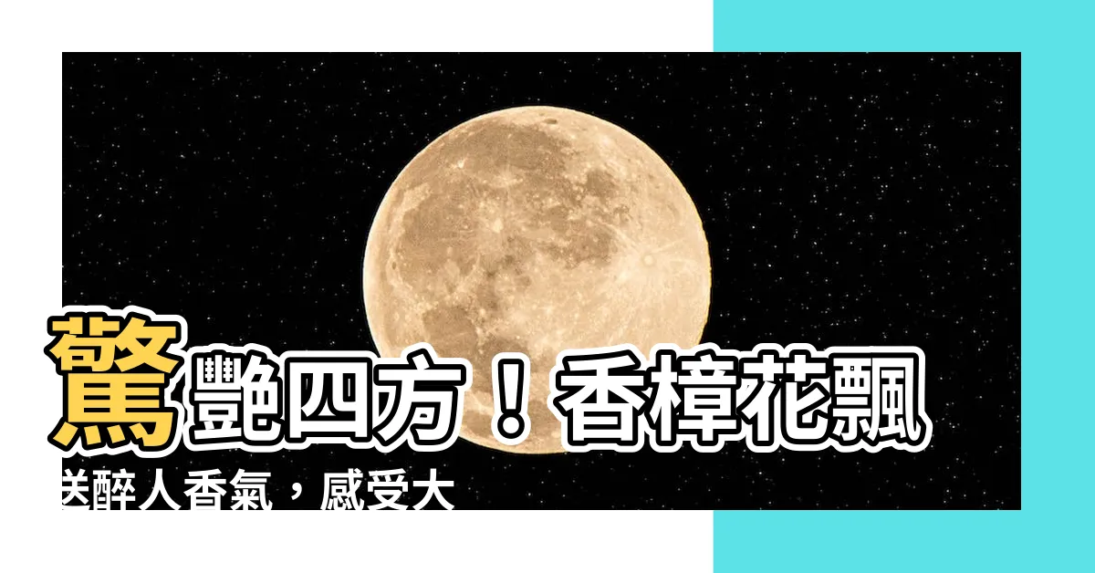 【香樟花】驚艷四方！香樟花飄送醉人香氣，感受大自然的藝術之美