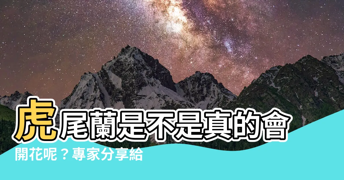 【虎尾蘭會開花嗎】虎尾蘭是不是真的會開花呢？專家分享給你兩個關鍵秘訣！