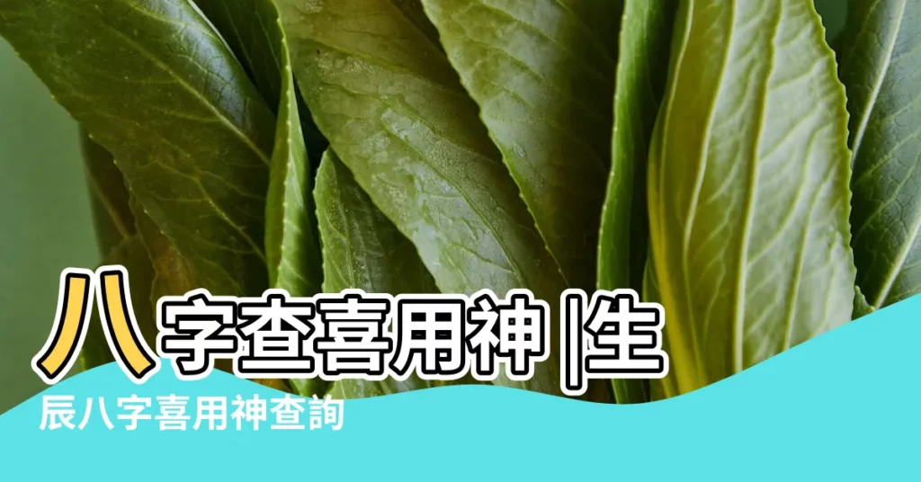 八字查喜用神 |生辰八字喜用神查詢 |五行缺什麼查詢 |【五行喜忌查詢】