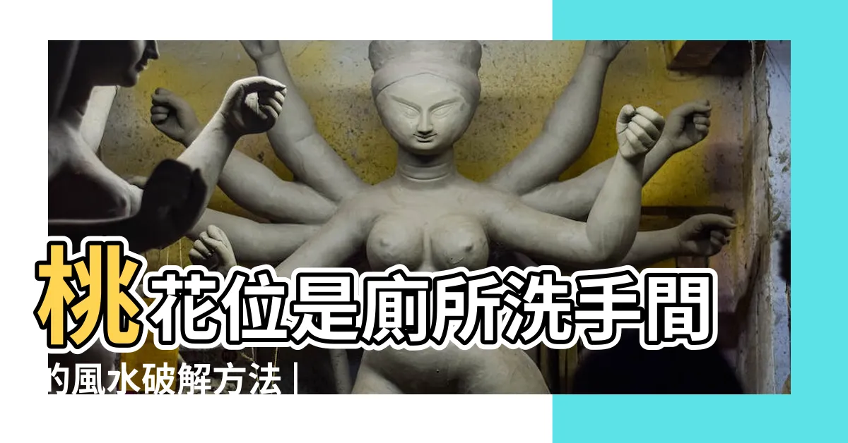【2023桃花位在洗手間】桃花位是廁所洗手間的風水破解方法 |升職風水陣 |怎麼查詢每年的桃花位 |