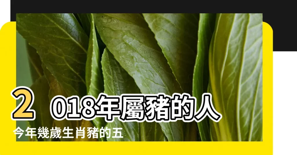 2018年屬豬的人今年幾歲生肖豬的五大運勢 |2018年是屬什麼生肖屬相 |十二生肖對照表十二生肖紀年對照表 |【2018年59屬什麼生肖】
