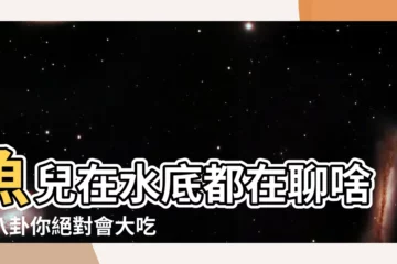 【魚説什麼】魚兒在水底都在聊啥？八卦你絕對會大吃一驚