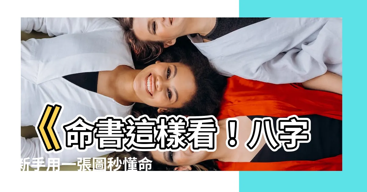 【命書怎麼看】《命書這樣看！八字新手用一張圖秒懂命盤密碼》