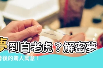 【夢到白老虎】夢到白老虎？解密夢境背後的驚人寓意！