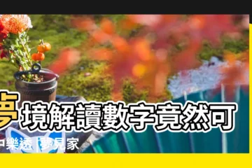 【夢見家裏很多黑色的柴】夢境解讀數字竟然可以中樂透 |夢見家裡有 |奮力狂挖 |