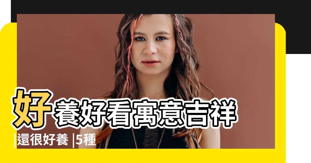 【適合種在家門口的樹】好養好看寓意吉祥 |還很好養 |5種適合種在家門口的樹 |