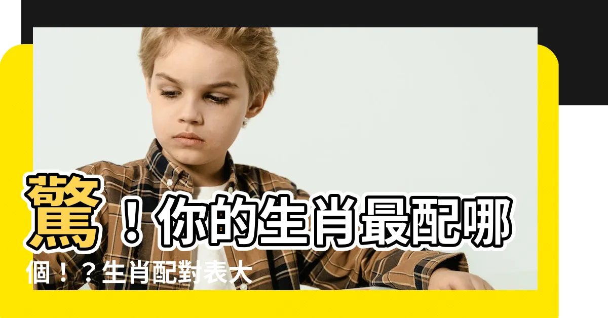 【生肖配對表】驚！你的生肖最配哪個！？生肖配對表大公開！