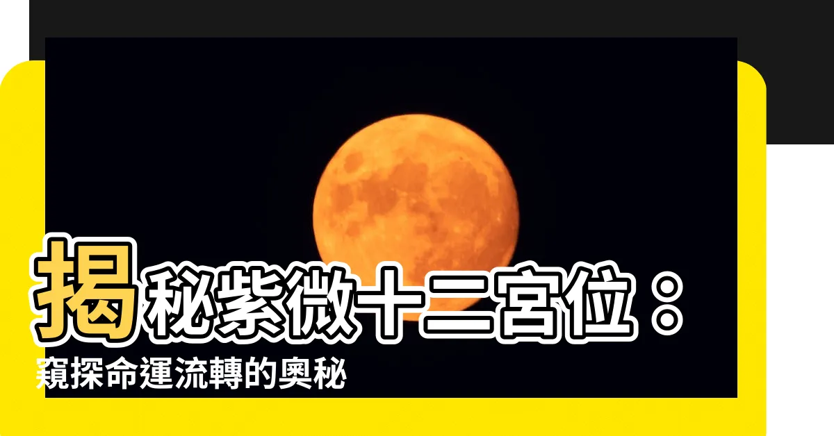 【紫微十二宮位】揭秘紫微十二宮位：窺探命運流轉的奧秘