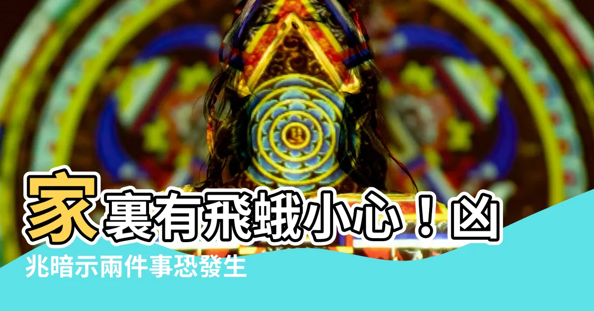 【家裏有飛蛾】家裏有飛蛾小心！凶兆暗示兩件事恐發生
