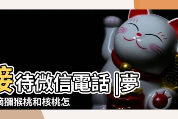【做夢摘獼猴桃怎麼回事】接待微信電話 |夢見摘獼猴桃和核桃怎麼回事 |查詢對方微信聊天記錄的軟件 |