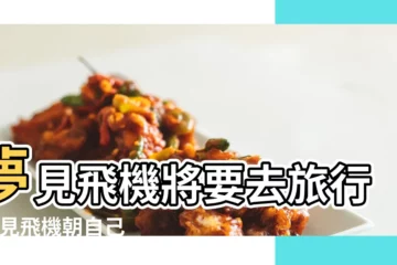 【周公解夢飛機向我飛來】夢見飛機將要去旅行 |夢見飛機朝自己飛來 |夢見飛機飛行 |