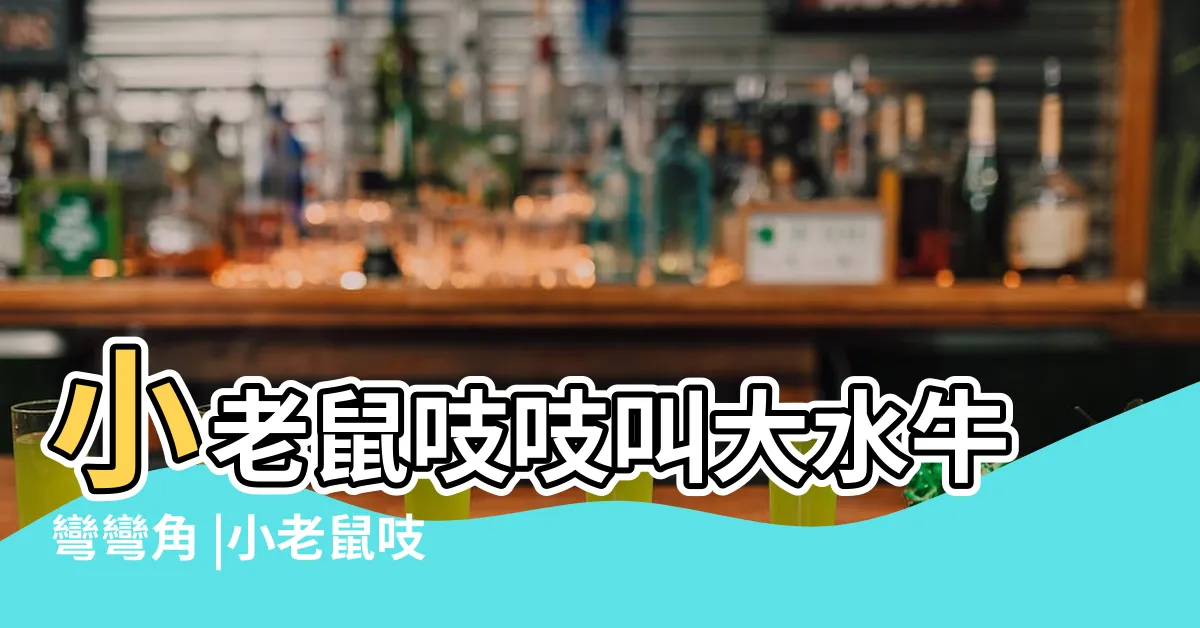【小老鼠吱吱叫】小老鼠吱吱叫大水牛彎彎角 |小老鼠吱吱叫 |小老鼠吱吱叫是什麼歌 |