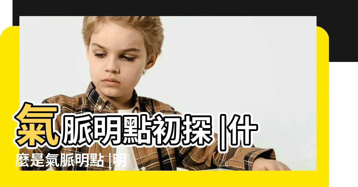 【氣脈明點】氣脈明點初探 |什麼是氣脈明點 |明點之簡介 |