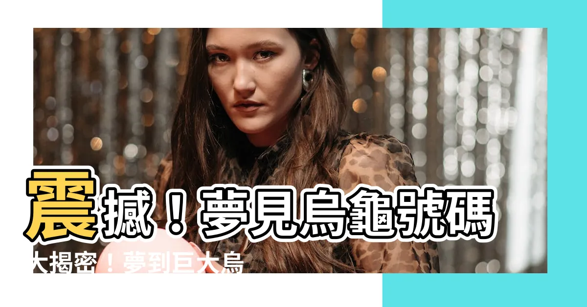 【夢見烏龜號碼】震撼！夢見烏龜號碼大揭密！夢到巨大烏龜快選539！