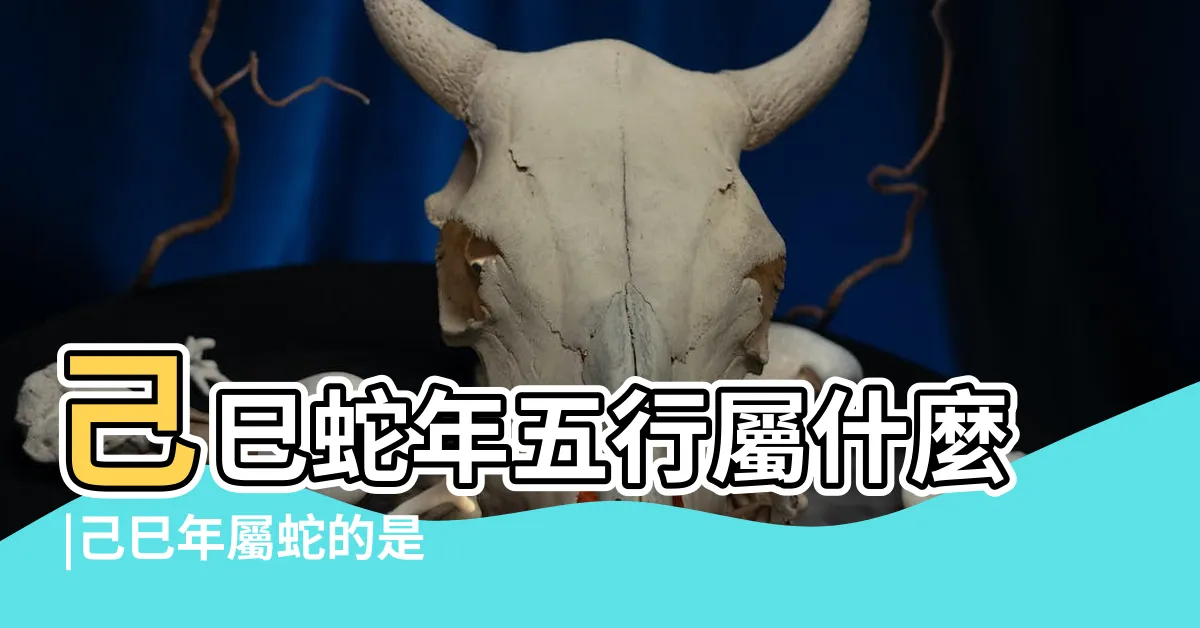 【己巳年性格】己巳蛇年五行屬什麼 |己巳年屬蛇的是什麼命 |1989 |