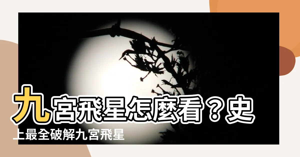 【九宮飛星怎麼看】九宮飛星怎麼看？史上最全破解九宮飛星佈局