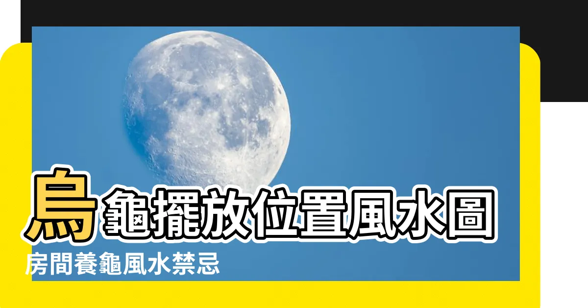 【風水烏龜】烏龜擺放位置風水圖房間養龜風水禁忌 |養烏龜的好處與風水 |家裡放烏龜可以養好嗎 |