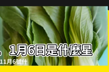【11月6日是什麼星座】11月6日是什麼星座 |11月6號什麼星座 |是天蠍座 |
