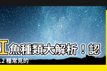 【紅魚種類】紅魚種類大解析！認識 12 種常見的海中紅色寶藏