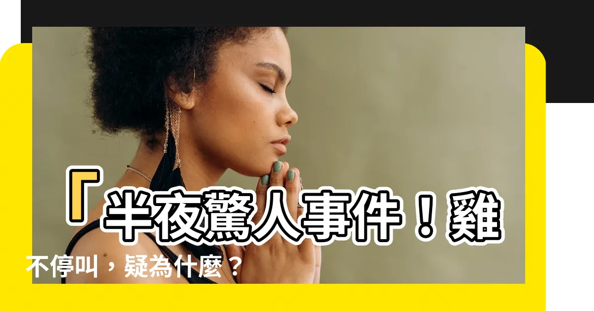 【半夜雞一直叫】「半夜驚人事件！雞不停叫，疑為什麼？」