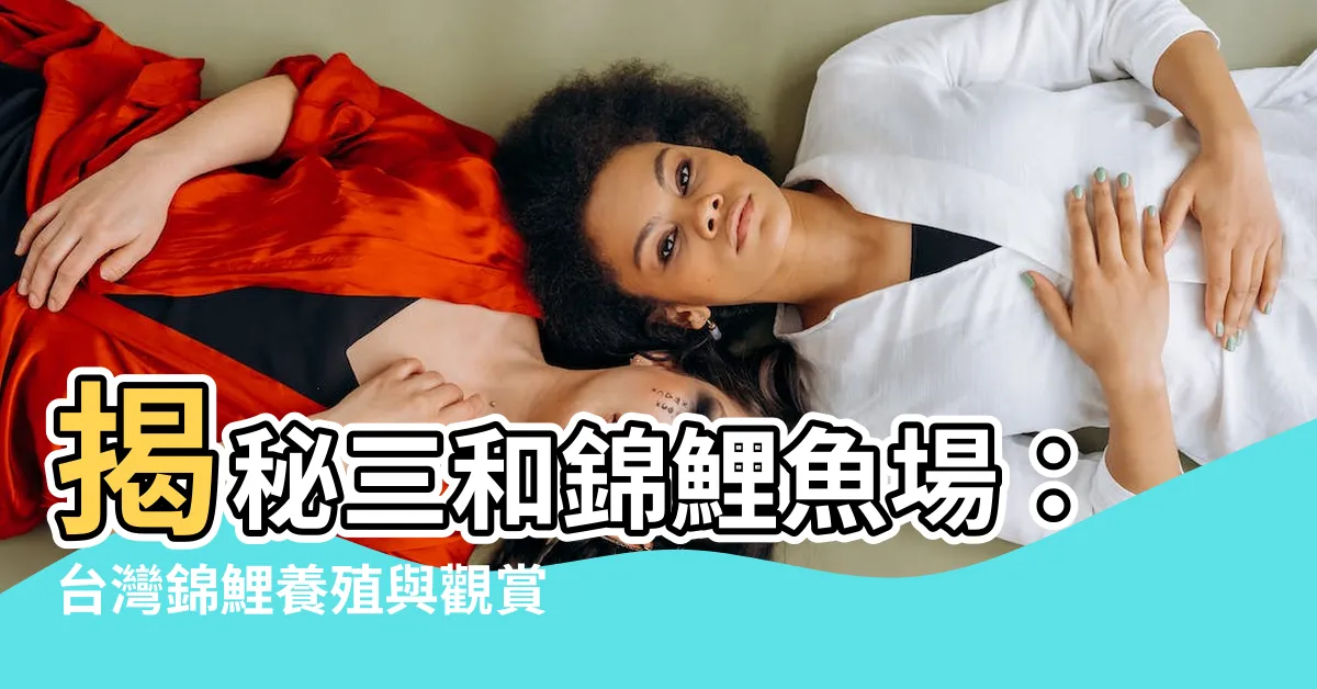 【三和錦鯉魚場】揭秘三和錦鯉魚場：台灣錦鯉養殖與觀賞盛地