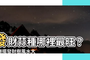 【發財蒜風水】發財蒜種哪裡最旺？客廳擺發財樹風水大公開