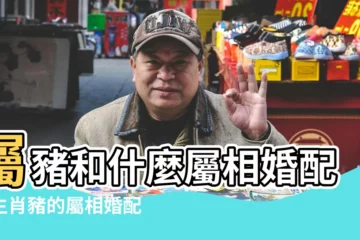 【屬豬和什麼屬相最配】屬豬和什麼屬相婚配好生肖豬的屬相婚配表 |屬豬的人和哪些屬相最般配 |屬豬的和什麼屬相最配 |