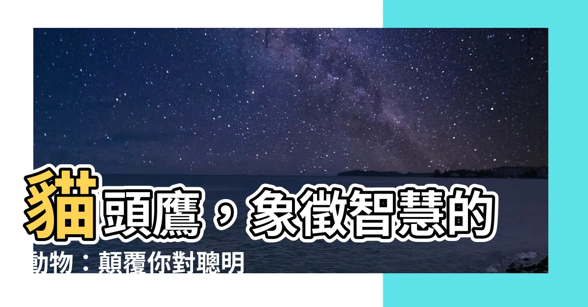 【象徵智慧的動物】貓頭鷹，象徵智慧的動物：顛覆你對聰明動物的想像！