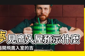 【夢見鷹入屋】夢見鷹入屋預示什麼？揭開飛鷹入室的吉凶徵兆