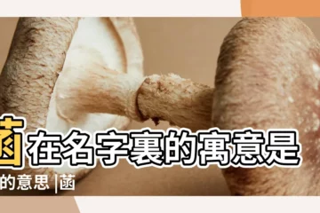 【菡字在人名中的意思】菡在名字裏的寓意是 |菡的意思 |菡字取名的寓意女孩 |