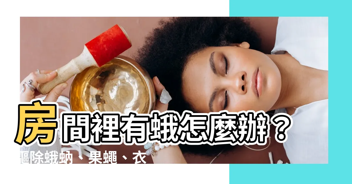 【房間裡有蛾】房間裡有蛾怎麼辦?驅除蛾蚋、果蠅、衣蛾的居家必備小妙招!
