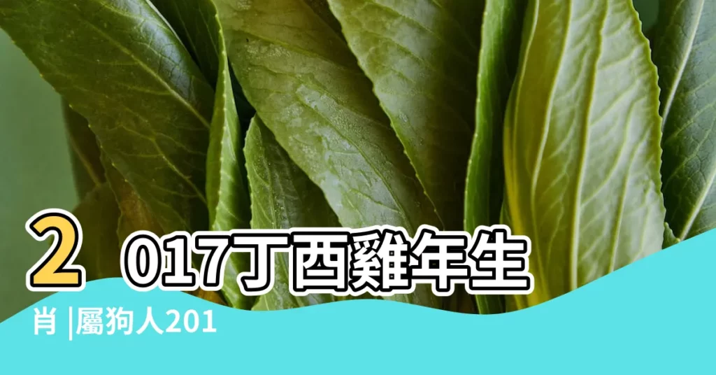 2017丁酉雞年生肖 |屬狗人2017年5月份運勢 |屬狗2017年運勢及運程 |【2017年農曆五月屬狗】