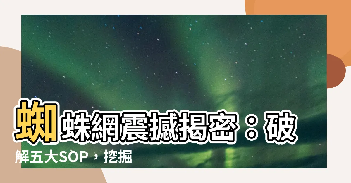 【蜘蛛網】蜘蛛網震撼揭密：破解五大SOP，挖掘牆角神秘紡織天才！