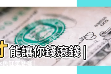 【魚缸應該放在哪兒】才能讓你錢滾錢 |風水魚缸怎麼擺 |這些要點記下來旺財又旺運 |