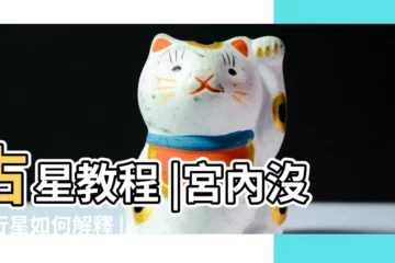 【占星宮頭】占星教程 |宮內沒有行星如何解釋 |宮頭位置和分宮法爭議 |